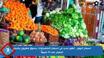أسعار اليوم.. تطور جديد في أسعار الخضراوات بسوق مطروح يشمل البصل عند 15 جنيهاً